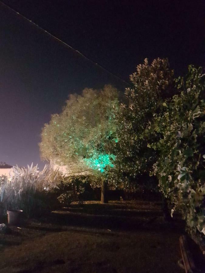 بستويا Alle Vecchie Mura المظهر الخارجي الصورة